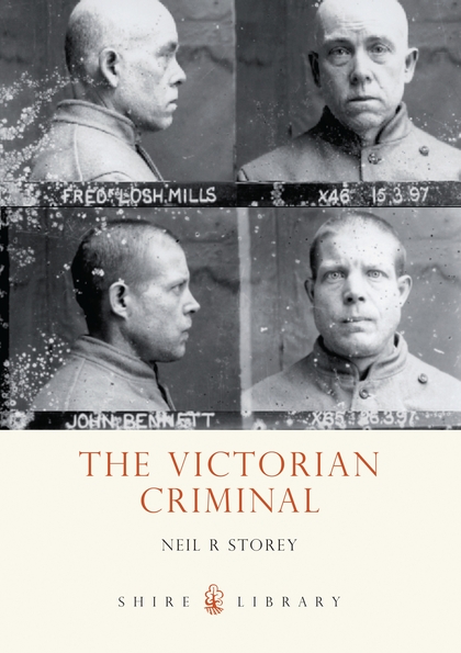 Паперова книга «The Victorian Criminal» - фото №1