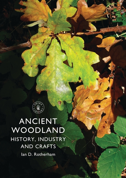 Бумажная книга «Ancient Woodland» - фото №1