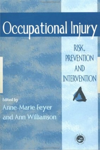 Бумажная книга «Occupational Injury: Risk, Prevention And Intervention» - фото №1