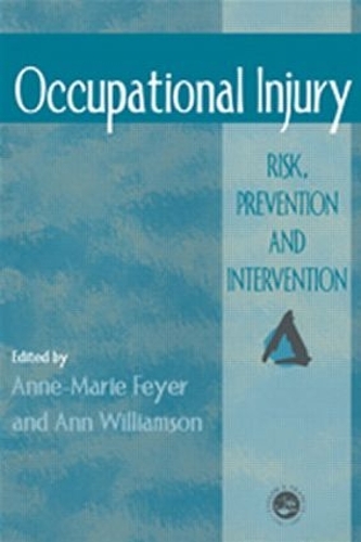 Бумажная книга «Occupational Injury: Risk, Prevention And Intervention» - фото №1