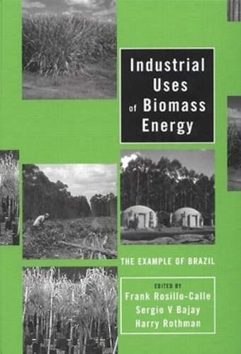 Паперова книга «Industrial Uses of Biomass Energy: The Example of Brazil» - фото №1
