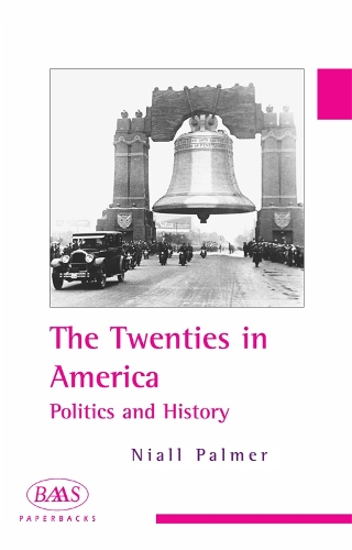 Бумажная книга «The Twenties in America: Politics and History», автор Ниал Палмер - фото №1