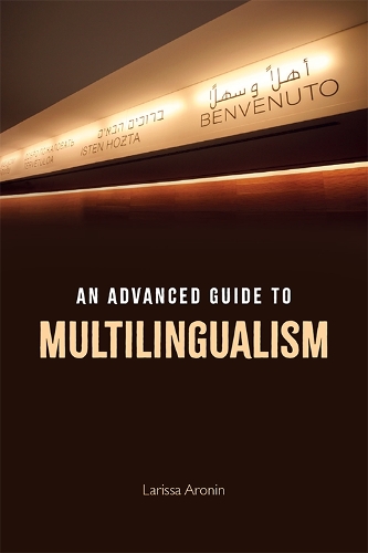 Паперова книга «An Advanced Guide to Multilingualism», автор Лариса Аронін - фото №1