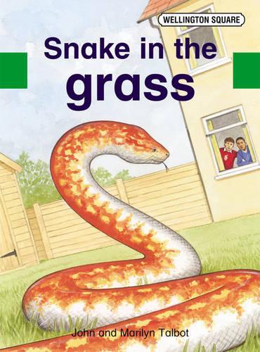 Бумажная книга «Wellington Square Assessment Kit - Snake in the Grass», авторов Джон Тэлбот, Мэрилин Тэлбот - фото №1