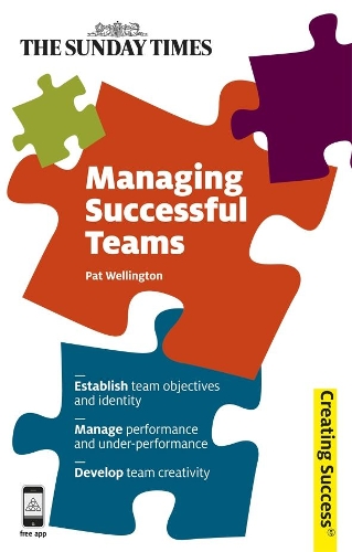 Бумажная книга «Managing Successful Teams», автор Пэт Веллингтон - фото №1