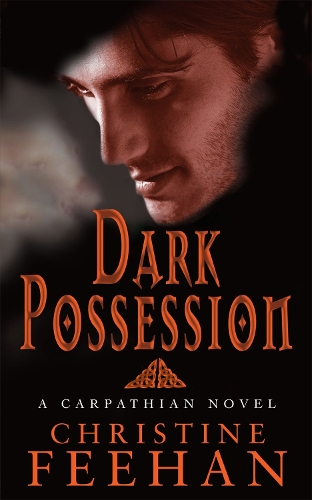 Бумажная книга «Dark Possession: Number 18 in series», автор Кристин Фихан - фото №1
