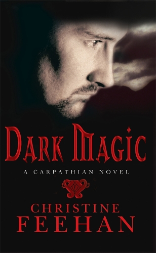 Паперова книга «Dark Magic: Number 4 in series», автор Крістін Фіхан - фото №1