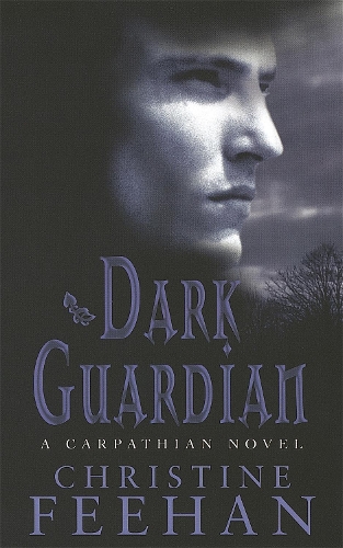 Паперова книга «Dark Guardian: Number 9 in series», автор Крістін Фіхан - фото №1