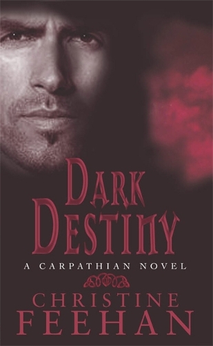 Паперова книга «Dark Destiny: Number 13 in series», автор Крістін Фіхан - фото №1