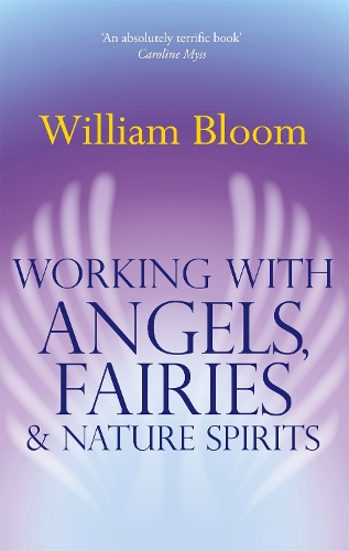 Бумажная книга «Working With Angels, Fairies And Nature Spirits», автор Уильям Блум - фото №1