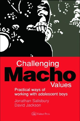 Бумажная книга «Challenging Macho Values», автор Джонатан Солсбери - фото №1
