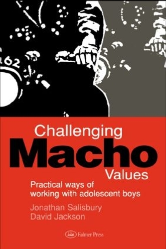 Паперова книга «Challenging Macho Values», автор Джонатан Солсбері - фото №1