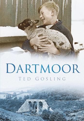 Паперова книга «Dartmoor», автор Тед Гослінг - фото №1