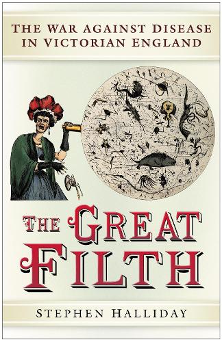 Бумажная книга «The Great Filth: Disease, Death and the Victorian City», автор Стивен Холлидей - фото №1
