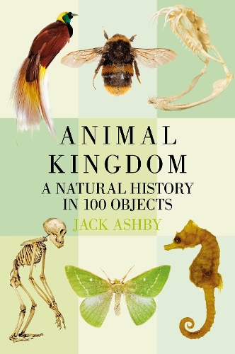 Бумажная книга «Animal Kingdom: A Natural History in 100 Objects», автор Джек Эшби - фото №1