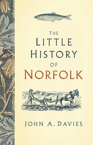 Бумажная книга «The Little History of Norfolk», автор Джон А. Дэвис - фото №1