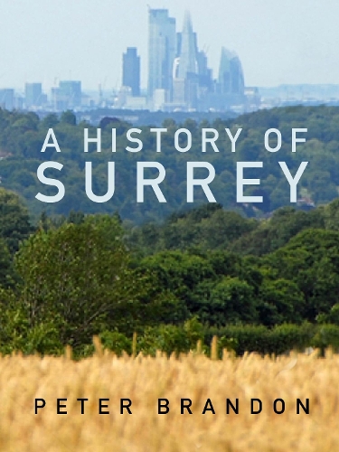 Паперова книга «A History of Surrey», автор Пітер Брендон - фото №1