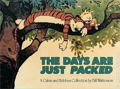 Паперова книга «The Days Are Just Packed: Calvin & Hobbes Series: Book Twelve», автор Білл Уоттерсон - фото №1