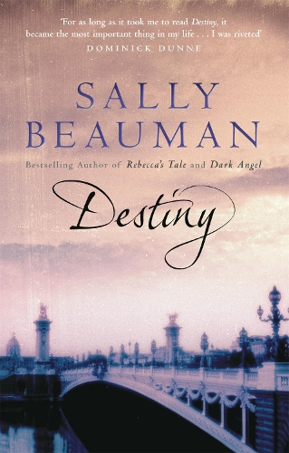 Бумажная книга «Destiny», автор Салли Боман - фото №1