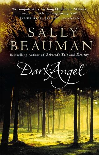 Бумажная книга «Dark Angel», автор Салли Боман - фото №1