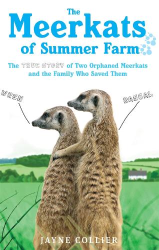 Паперова книга «The Meerkats Of Summer Farm: The True Story of Two Orphaned Meerkats and the Family Who Saved Them», автор Джейн Колльєр - фото №1