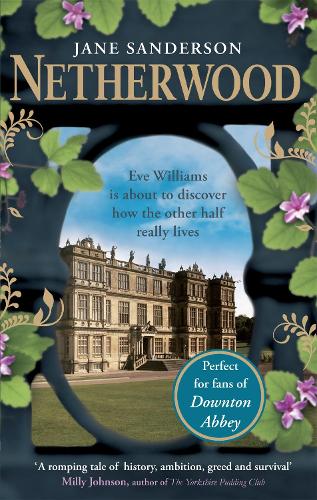 Бумажная книга «Netherwood», автор Джейн Сандерсон - фото №1