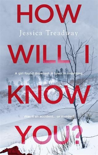 Бумажная книга «How Will I Know You?», автор Джессика Тредвей - фото №1