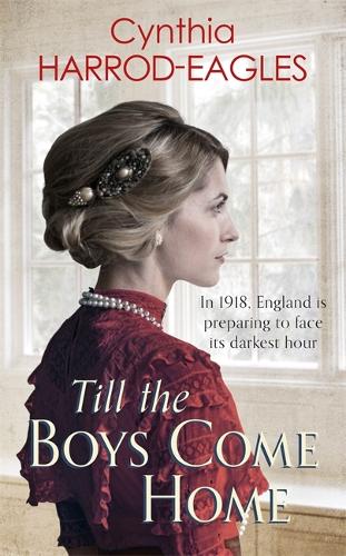 Бумажная книга «Till the Boys Come Home: War at Home, 1918», автор Синтия Хэррод-Иглз - фото №1