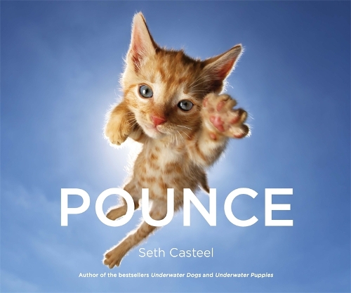 Паперова книга «Pounce», автор Сет Кастель - фото №1