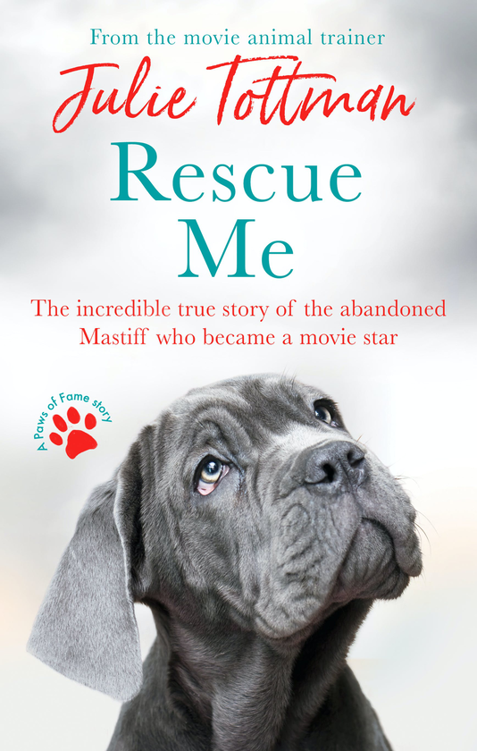 Паперова книга «Rescue Me», автор Джулі Тоттман - фото №1
