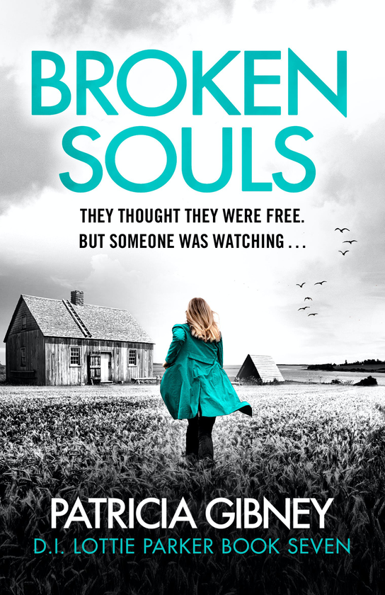 Паперова книга «Broken Souls», автор Патрісія Гібні - фото №1