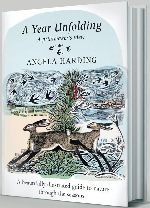 Паперова книга «A Year Unfolding. A Printmaker's View», автор Анджела Гардінг - фото №1