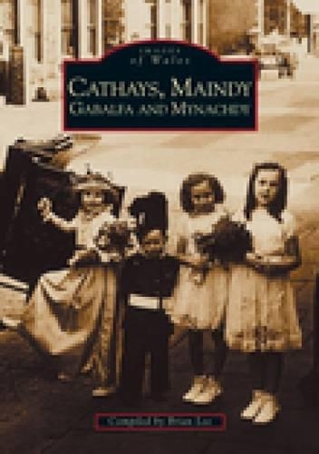 Бумажная книга «Cathays, Maindy, Gabalfa and Mynachdy», автор Брайан Ли - фото №1