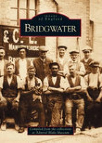 Паперова книга «Bridgwater», автор Сара Харбідж - фото №1