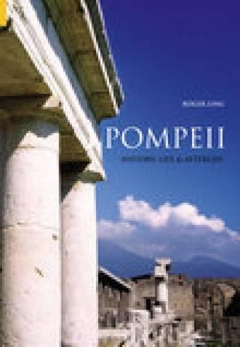 Бумажная книга «Pompeii: History, Life & Afterlife», автор Роджер Линг - фото №1