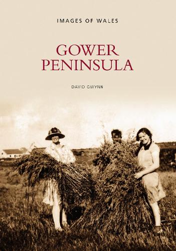 Бумажная книга «Gower Peninsula: Images of Wales», автор Дэвид Гвинн - фото №1