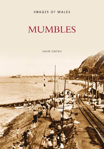 Бумажная книга «Mumbles», автор Дэвид Гвинн - фото №1