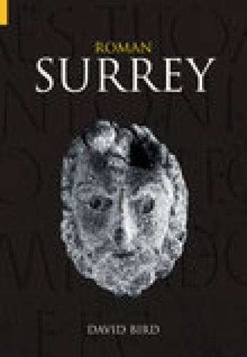 Бумажная книга «Roman Surrey», автор Дэвид Берд - фото №1