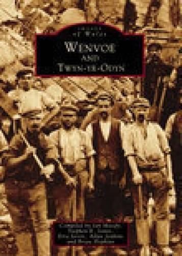 Бумажная книга «Wenvoe and Twyn-yr-Odyn», автор Общество краеведения Уэнво - фото №1