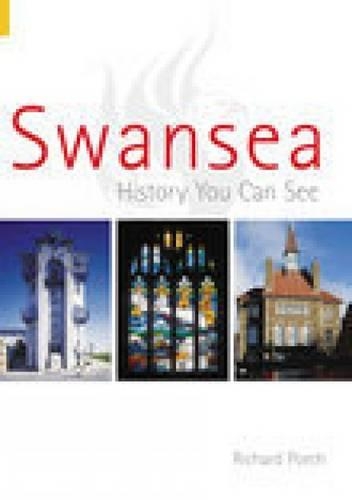 Бумажная книга «Swansea: History You Can See», автор Ричард Порч - фото №1