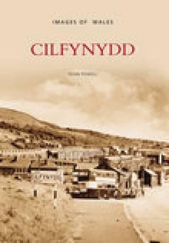 Бумажная книга «Cilfynydd», автор Энн Пауэлл - фото №1