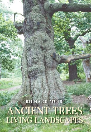 Бумажная книга «Ancient Trees, Living Landscapes», автор Ричард Мюир - фото №1