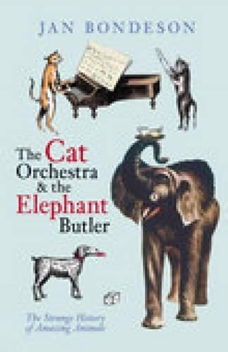 Бумажная книга «Cat Orchestra and the Elephant Butler», автор Ян Бондесон - фото №1