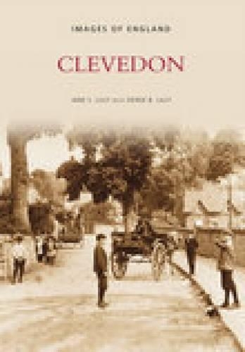 Бумажная книга «Clevedon», автор Джейн С. Лилли - фото №1