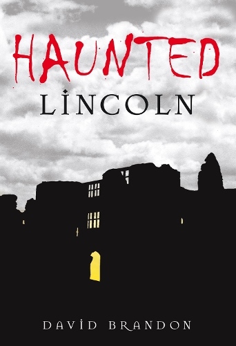 Бумажная книга «Haunted Lincoln», автор Дэвид Брэндон - фото №1