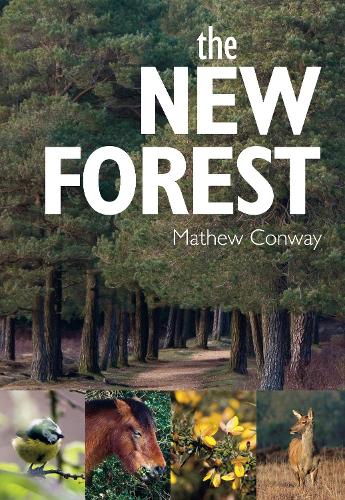 Бумажная книга «The New Forest», автор Мэтью Конвей - фото №1