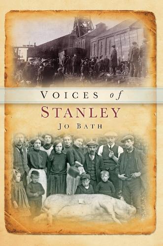 Паперова книга «Voices of Stanley», автор Джо Бат - фото №1