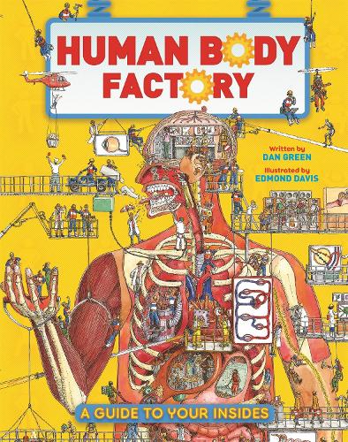 [object Object] «The Human Body Factory: A Guide To Your Insides», автор Дэн Грин - фото №1