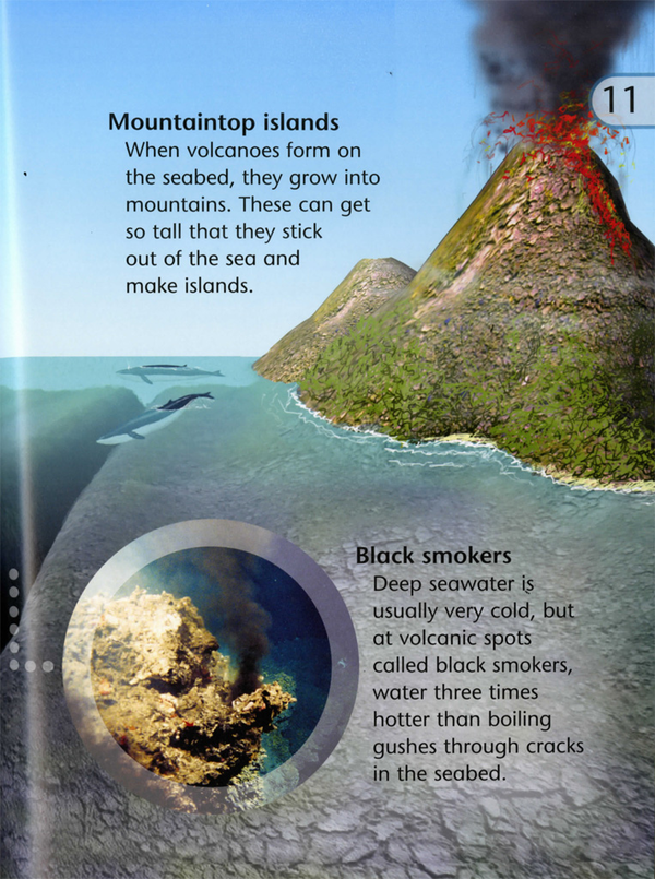 [object Object] «Discover Science: Oceans and Seas», авторов Белинда Вэбер, Никола Дэвис - фото №2 - миниатюра