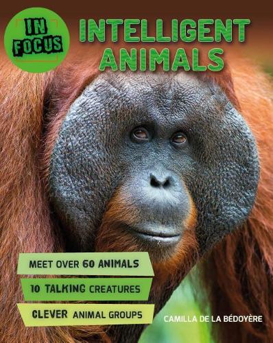 Паперова книга «In Focus: Intelligent Animals», автор Камілла де ла Бедойєр - фото №1
